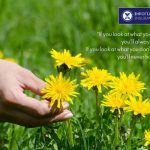 xirogiannopoulos αρθρα (10)