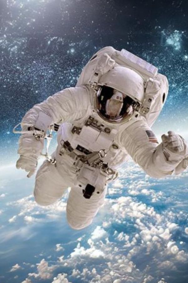 εξειδικευμένοι κλάδοι ασφάλισης